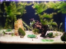 aquadream_60_2008_06_11_05