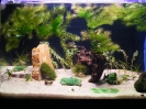 aquadream_60_2008_06_11_06