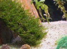 aquadream_60_2008_06_11_13