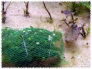 aquadream_60_2008_07_12_05