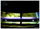 aquadream_60_2008_07_22_03