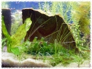 aquadream_60_2008_07_22_16