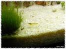 aquadream_60_2008_07_23_13