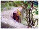 aquadream_60_2008_07_23_19