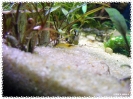 aquadream_60_2008_07_23_28