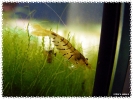 aquadream_60_2008_07_23_29
