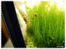 aquadream_60_2008_07_23_30