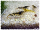 aquadream_60_2008_07_26_03