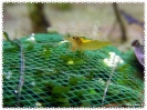aquadream_60_2008_07_26_09