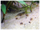 aquadream_60_2008_07_28_01