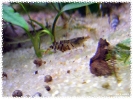aquadream_60_2008_07_28_03