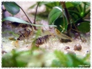 aquadream_60_2008_07_29_01