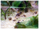aquadream_60_2008_07_29_03