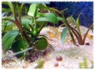 aquadream_60_2008_07_31_02