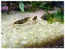 aquadream_60_2008_08_05_01
