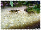 aquadream_60_2008_08_05_02