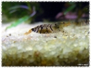 aquadream_60_2008_08_05_03