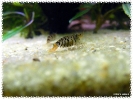aquadream_60_2008_08_05_04