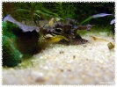 aquadream_60_2008_08_05_05