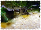 aquadream_60_2008_08_05_06