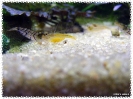aquadream_60_2008_08_05_08