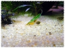 aquadream_60_2008_08_05_10