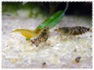 aquadream_60_2008_08_05_11