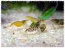 aquadream_60_2008_08_05_12