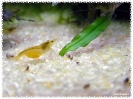 aquadream_60_2008_08_05_14