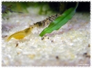 aquadream_60_2008_08_05_15