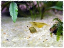aquadream_60_2008_08_05_17