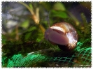 aquadream_60_2008_08_07_01