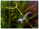 aquadream_60_2008_08_07_03
