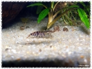 aquadream_60_2008_08_07_07
