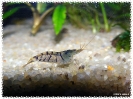aquadream_60_2008_08_07_08