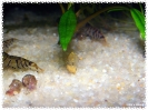 aquadream_60_2008_08_07_09