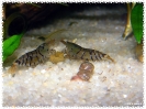 aquadream_60_2008_08_07_10