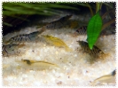 aquadream_60_2008_08_07_11