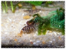 aquadream_60_2008_08_07_13