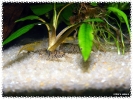 aquadream_60_2008_08_07_17