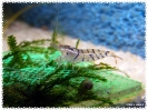 aquadream_60_2008_08_07_20