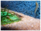 aquadream_60_2008_08_07_21