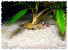 aquadream_60_2008_08_07_22