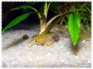 aquadream_60_2008_08_07_23