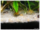 aquadream_60_2008_08_07_26