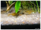 aquadream_60_2008_08_07_28