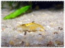 aquadream_60_2008_08_10_04