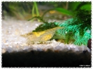 aquadream_60_2008_08_10_14