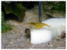 aquadream_60_2008_08_23_06