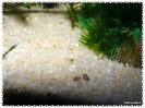 aquadream_60_2008_08_30_01